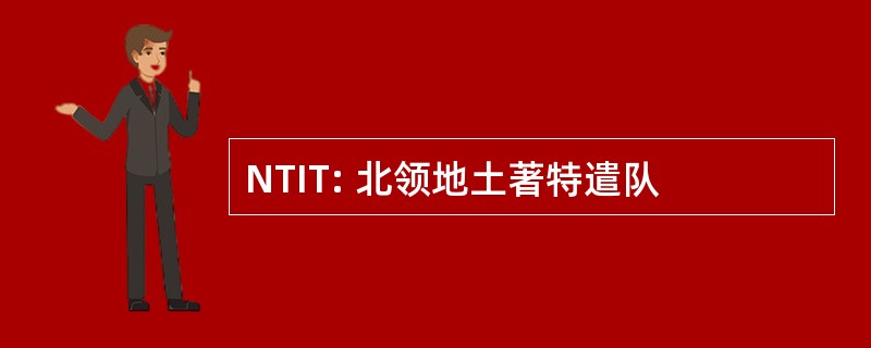 NTIT: 北领地土著特遣队