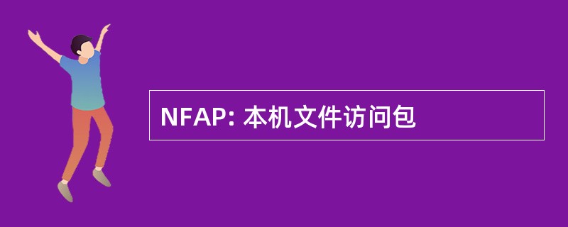 NFAP: 本机文件访问包