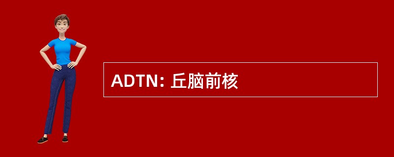 ADTN: 丘脑前核