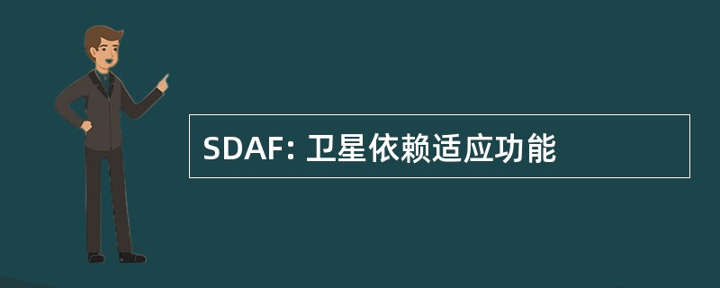 SDAF: 卫星依赖适应功能