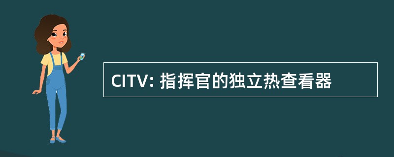 CITV: 指挥官的独立热查看器