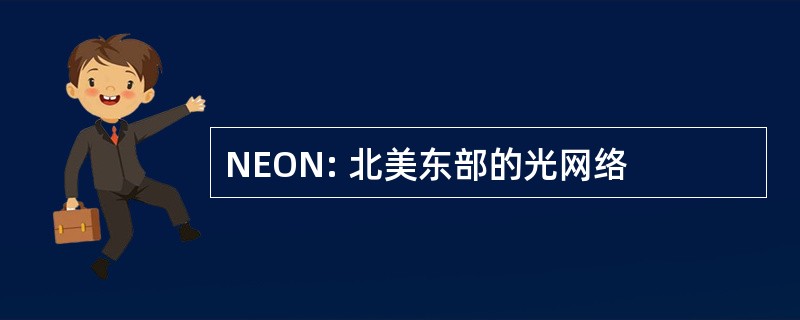 NEON: 北美东部的光网络