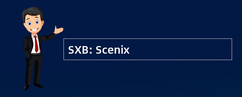 SXB: Scenix