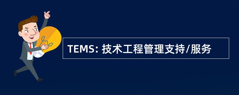 TEMS: 技术工程管理支持/服务