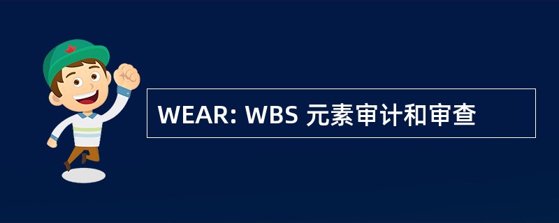 WEAR: WBS 元素审计和审查