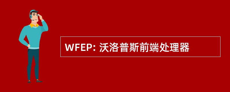 WFEP: 沃洛普斯前端处理器