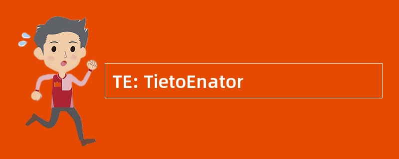 TE: TietoEnator