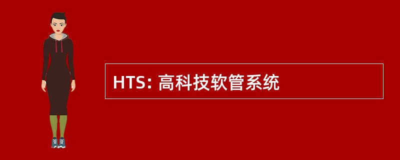 HTS: 高科技软管系统