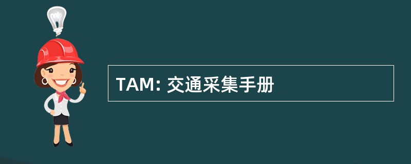 TAM: 交通采集手册