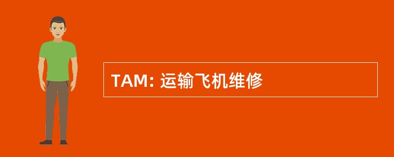 TAM: 运输飞机维修