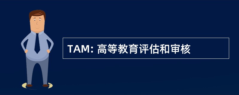 TAM: 高等教育评估和审核