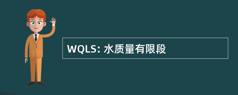 WQLS: 水质量有限段