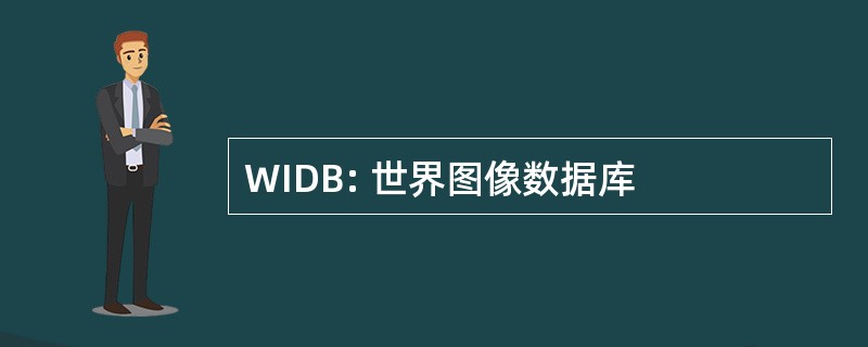 WIDB: 世界图像数据库