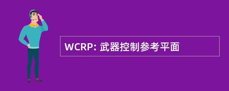 WCRP: 武器控制参考平面