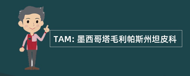 TAM: 墨西哥塔毛利帕斯州坦皮科