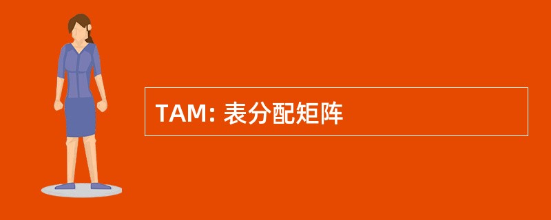 TAM: 表分配矩阵