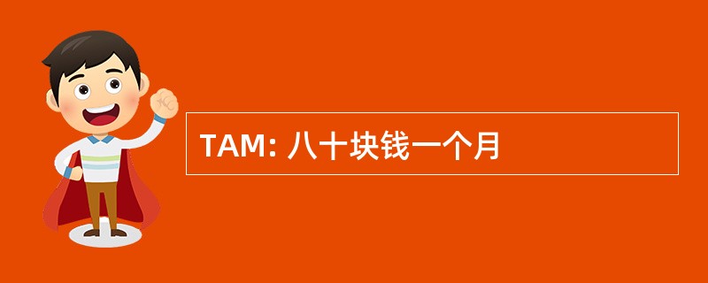 TAM: 八十块钱一个月