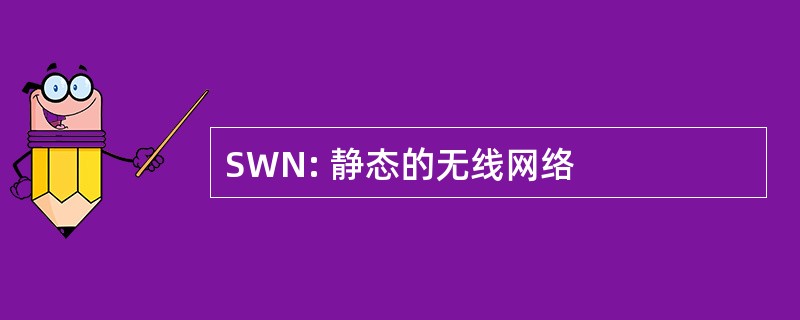 SWN: 静态的无线网络