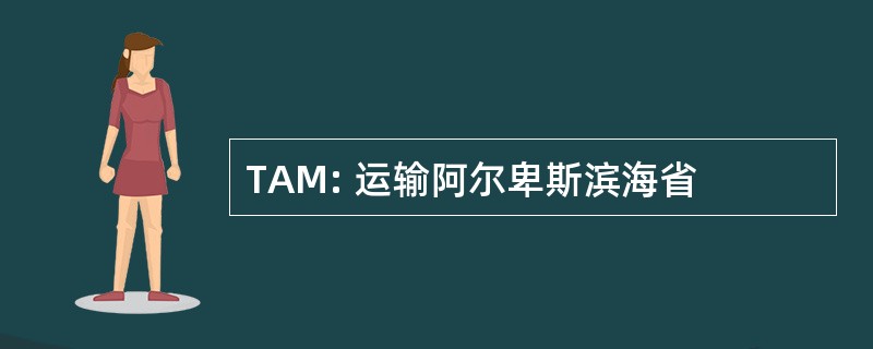 TAM: 运输阿尔卑斯滨海省