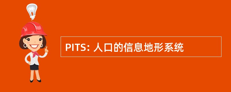 PITS: 人口的信息地形系统