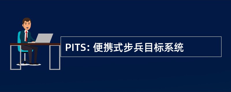 PITS: 便携式步兵目标系统