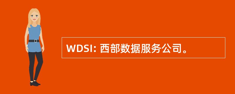 WDSI: 西部数据服务公司。