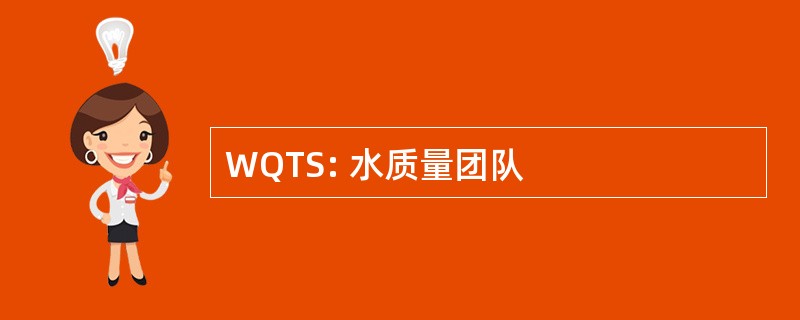 WQTS: 水质量团队