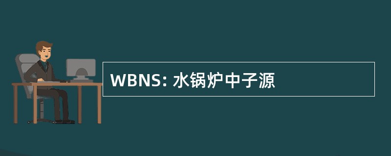 WBNS: 水锅炉中子源