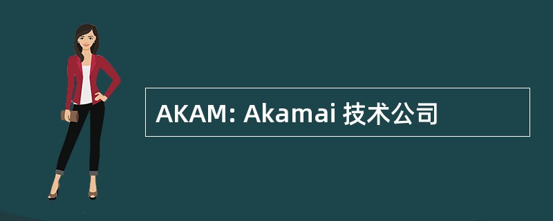 AKAM: Akamai 技术公司