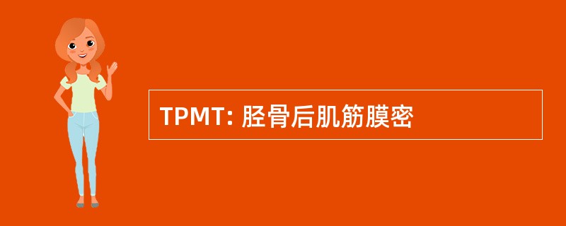 TPMT: 胫骨后肌筋膜密