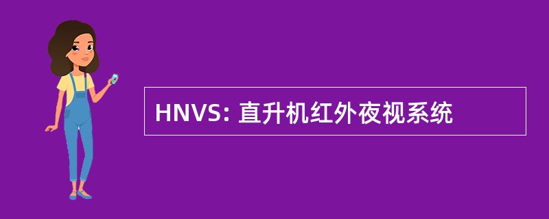 HNVS: 直升机红外夜视系统