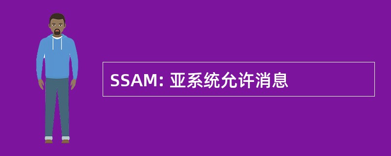 SSAM: 亚系统允许消息