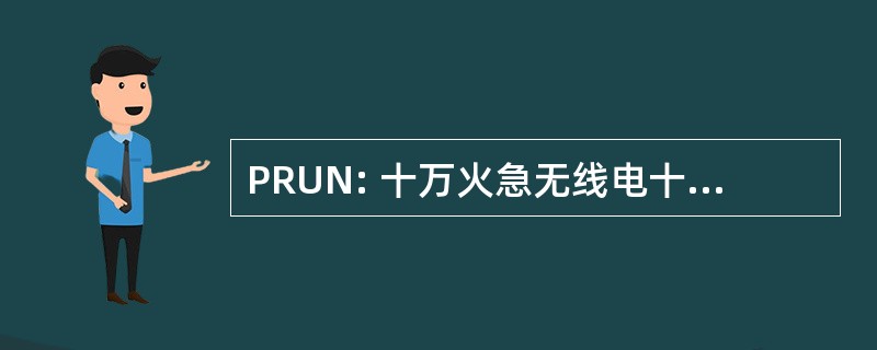 PRUN: 十万火急无线电十三区南特