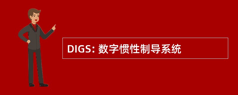 DIGS: 数字惯性制导系统