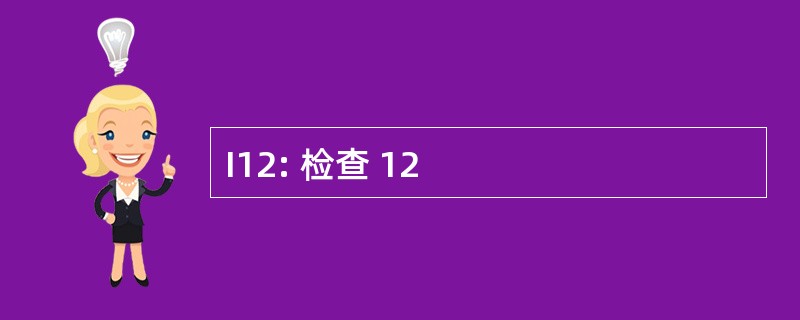 I12: 检查 12