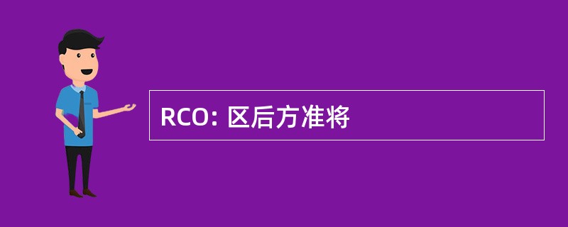 RCO: 区后方准将