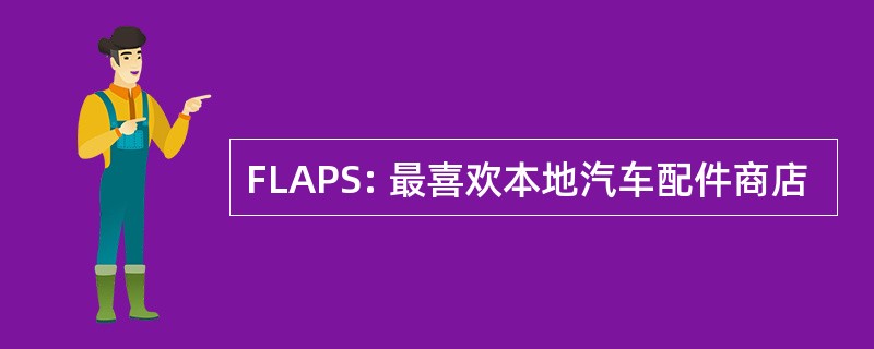 FLAPS: 最喜欢本地汽车配件商店