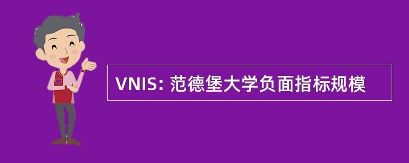 VNIS: 范德堡大学负面指标规模