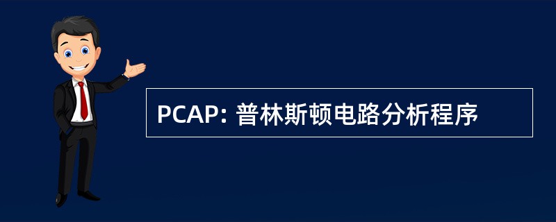 PCAP: 普林斯顿电路分析程序