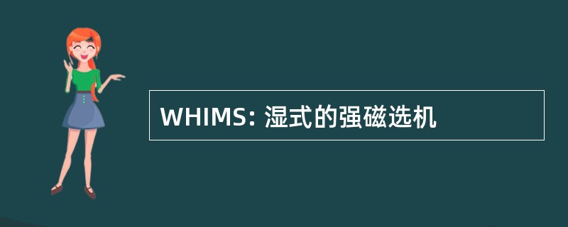 WHIMS: 湿式的强磁选机