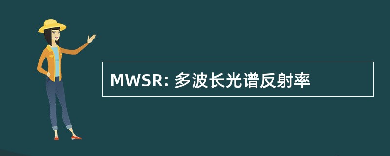 MWSR: 多波长光谱反射率