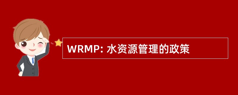 WRMP: 水资源管理的政策