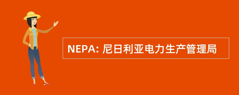 NEPA: 尼日利亚电力生产管理局