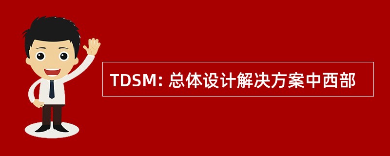 TDSM: 总体设计解决方案中西部