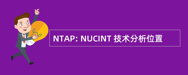 NTAP: NUCINT 技术分析位置