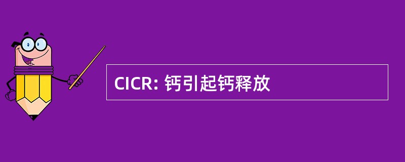 CICR: 钙引起钙释放