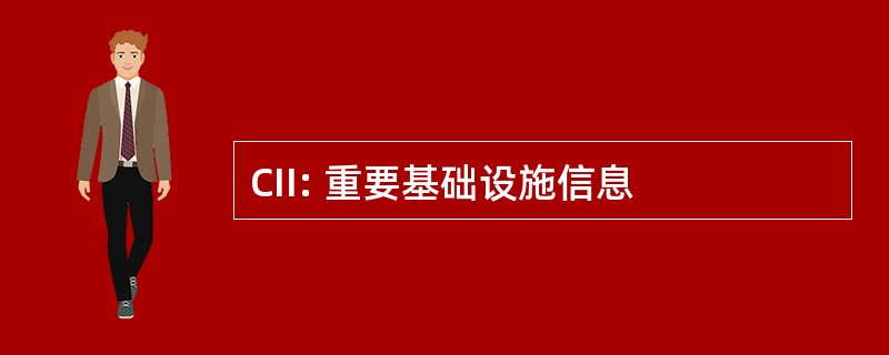 CII: 重要基础设施信息