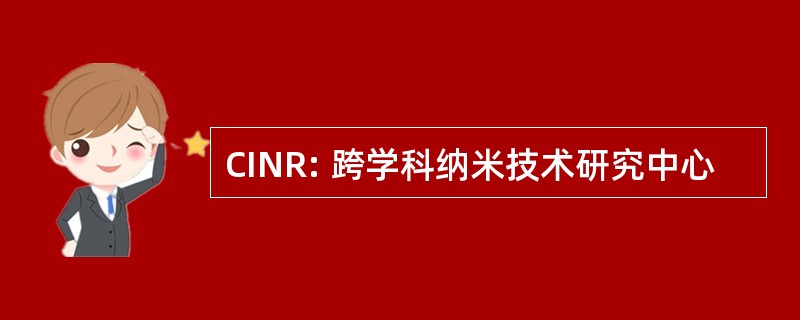 CINR: 跨学科纳米技术研究中心