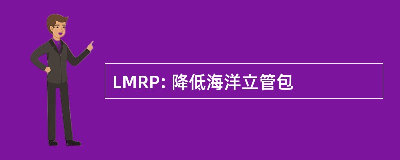 LMRP: 降低海洋立管包