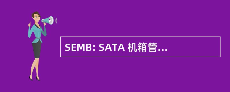 SEMB: SATA 机箱管理桥 （硬件）